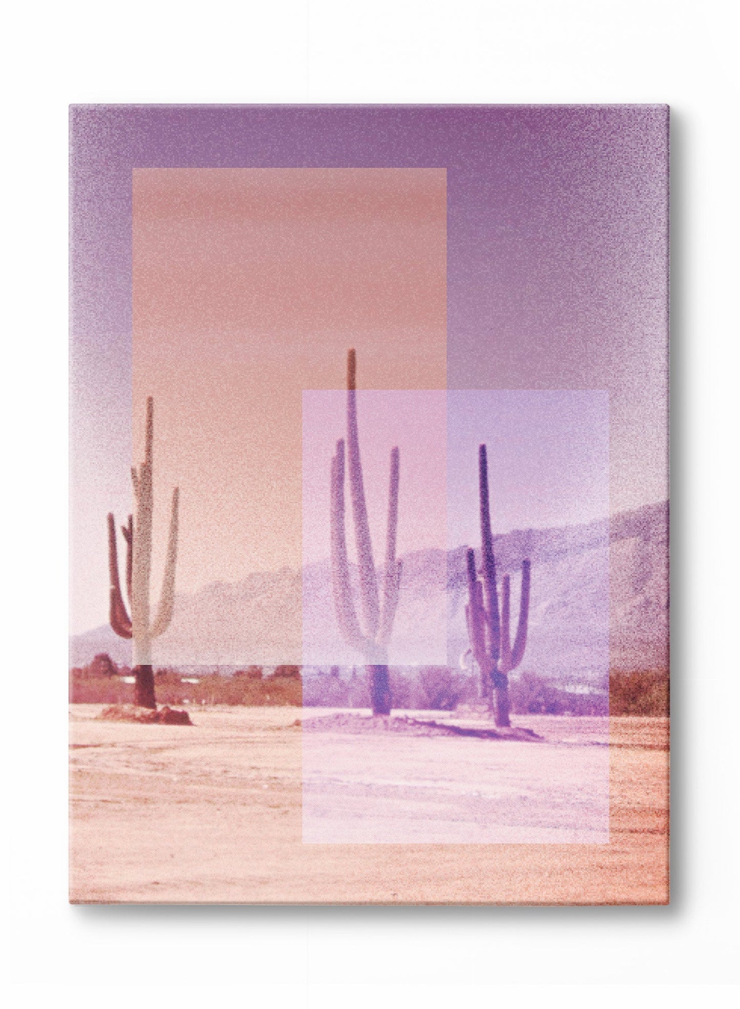 Disco Desert, Poster